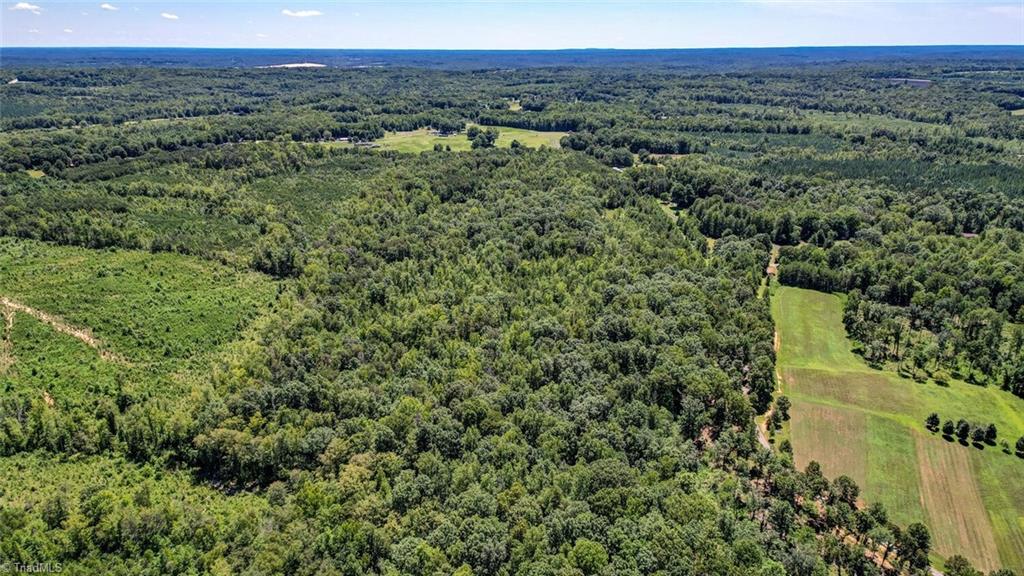 0 Sigmon Road Pelham, NC 27311 - Photo 12 of 13 Gallery Image 12