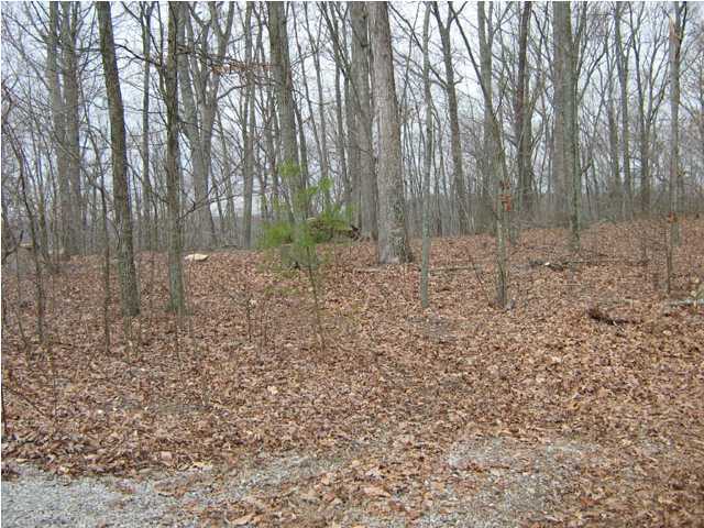 89 Blueberry Hill Bee Spring, KY 42207 - Photo 1 of 1 Primary Photo
