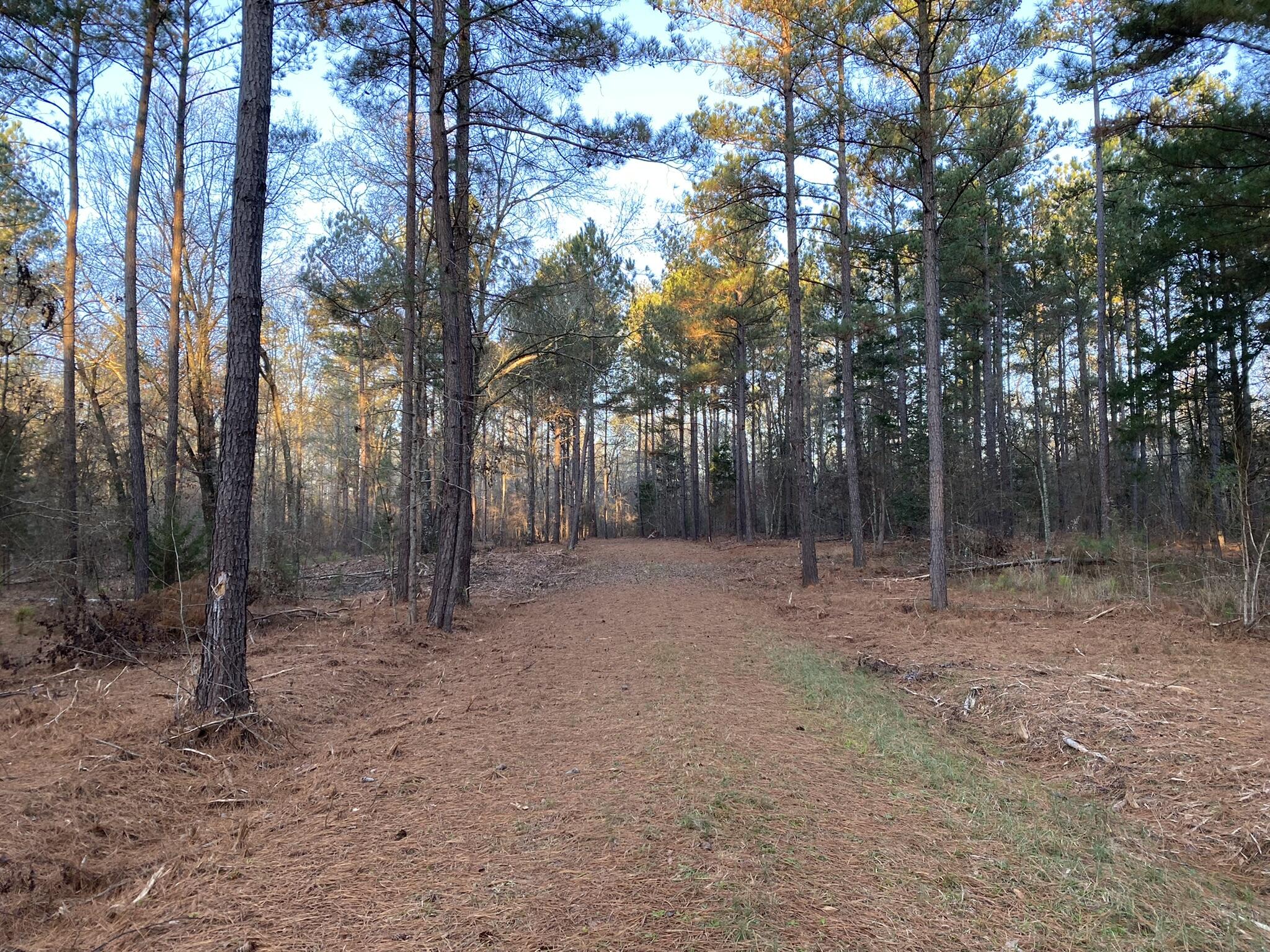 Batesburg-leesville Sc 29006 Road Leesville, SC 29070 - Photo 5 of 22