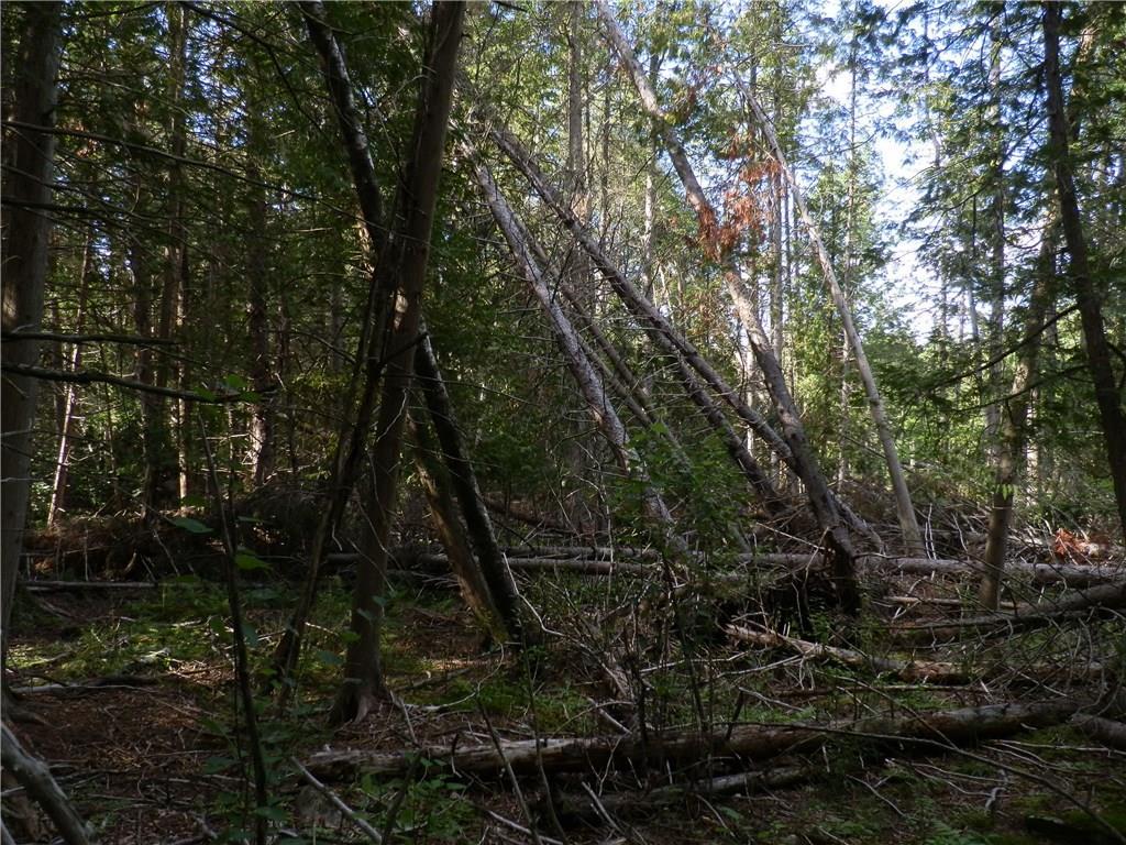 0 Copeland Hill Road Bangor, ME 04401 - Photo 10 of 19 Photo