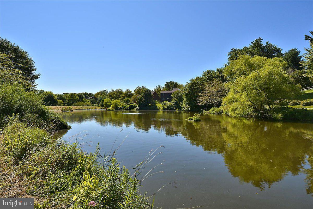 6413 White Peach Place Columbia, MD 21045 - Photo 22 of 31 a view of a large body of water surrounded by trees