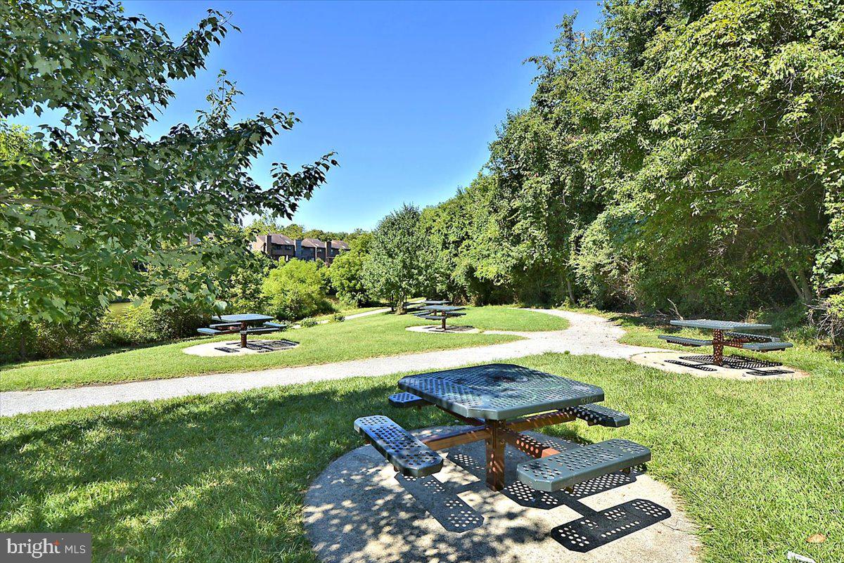 6413 White Peach Place Columbia, MD 21045 - Photo 23 of 31 a view of a backyard with large trees