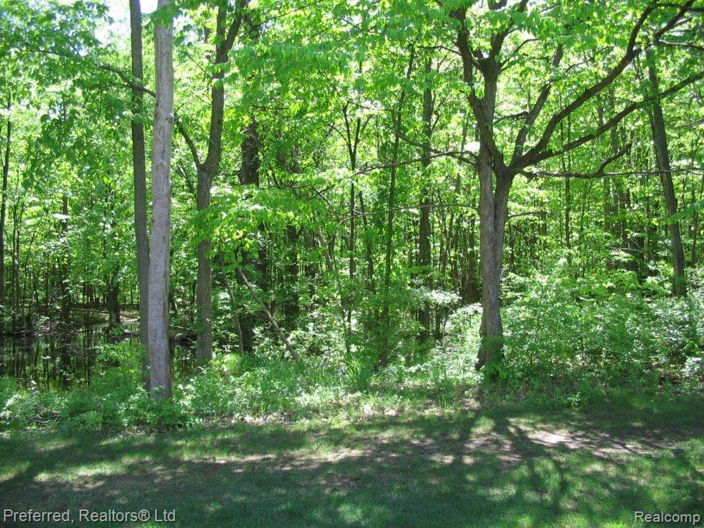 770 Cherry Grove Road, Unit 126 Canton, MI 48188 - Photo 15 of 18 IMG_1844