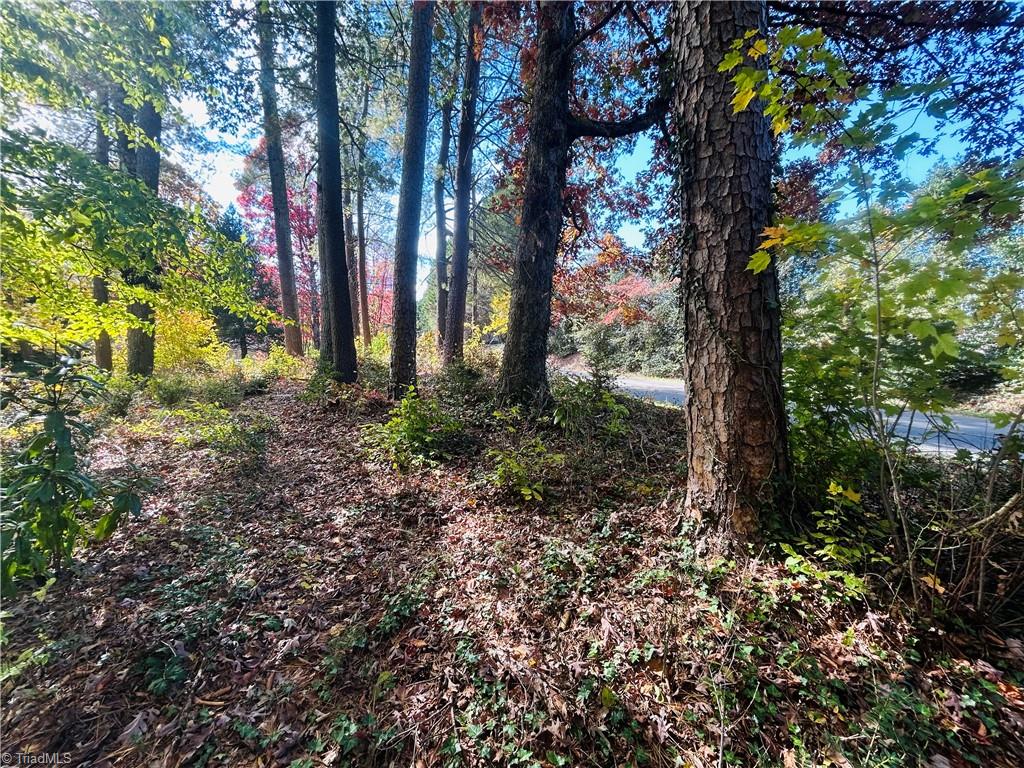 Tbd Old Springs Road Mount Airy, NC 27030 - Photo 11 of 17
