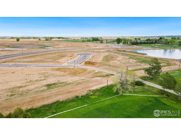 a black and white photo of a field and an ocean