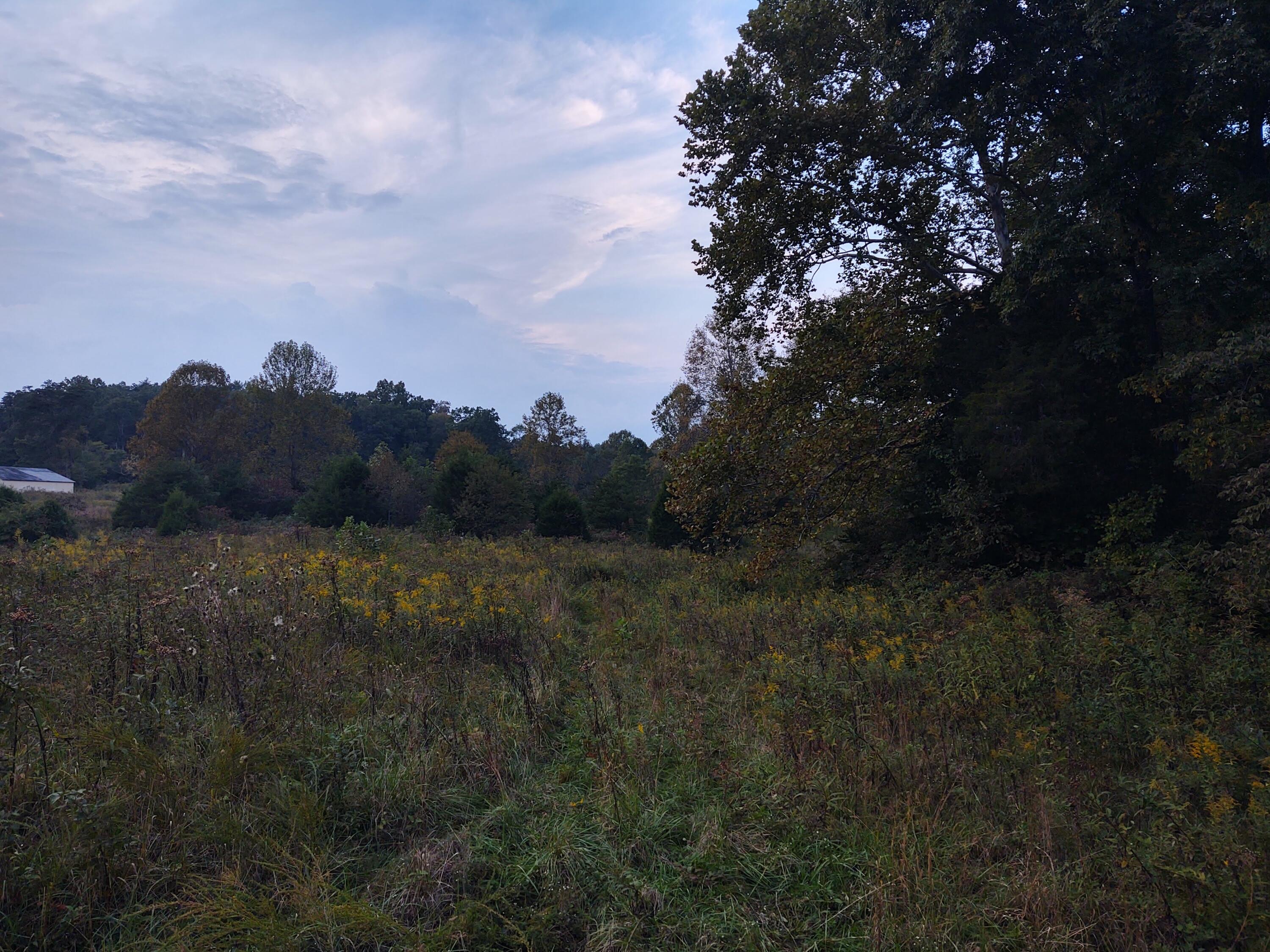 1730 Pine Ridge Road Winchester, KY 40391 - Photo 13 of 23 IMG_20211002_184832138_HDR