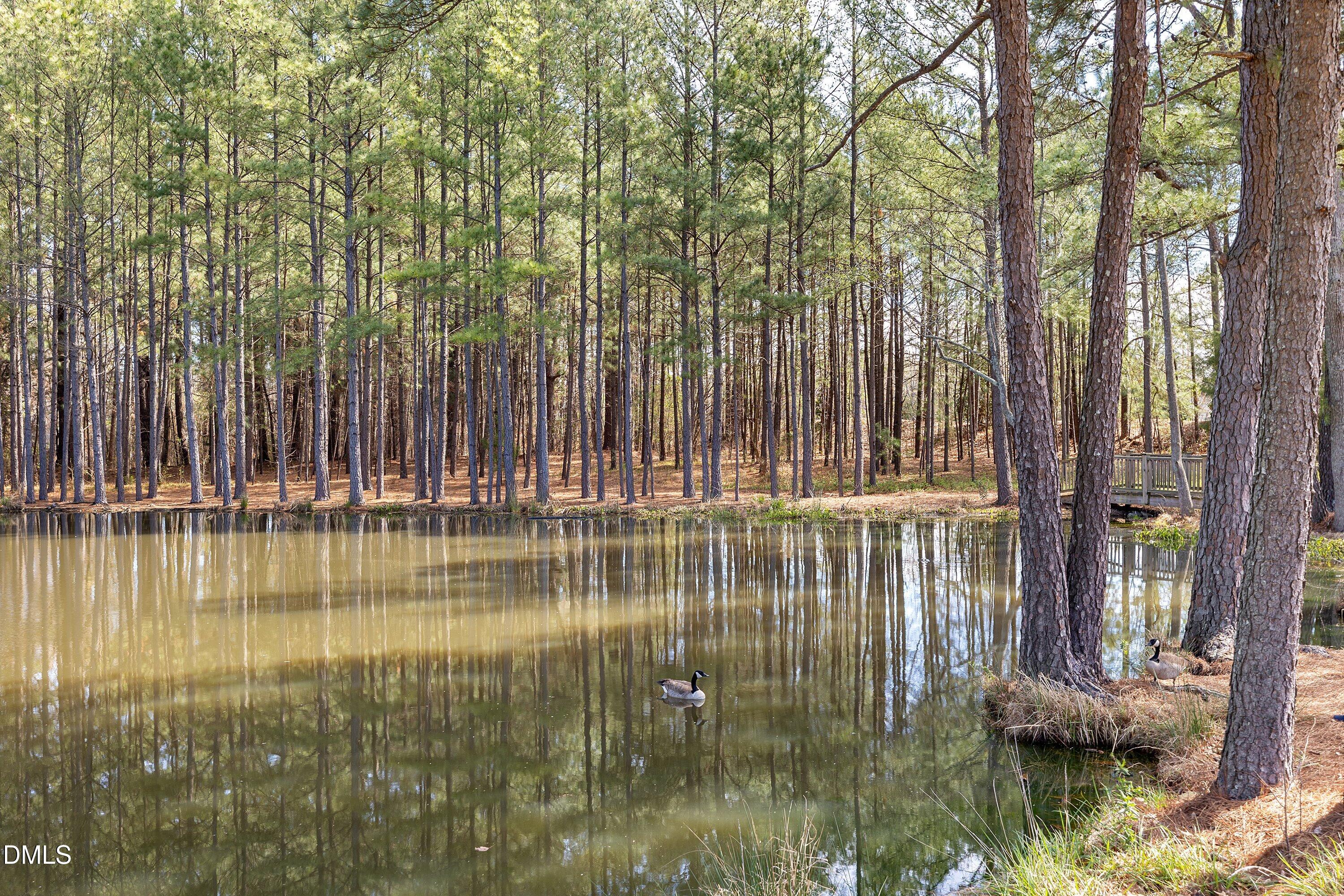 313 New Milford Road Cary, NC 27519 - Photo 45 of 54 49-313 New Milford_5588