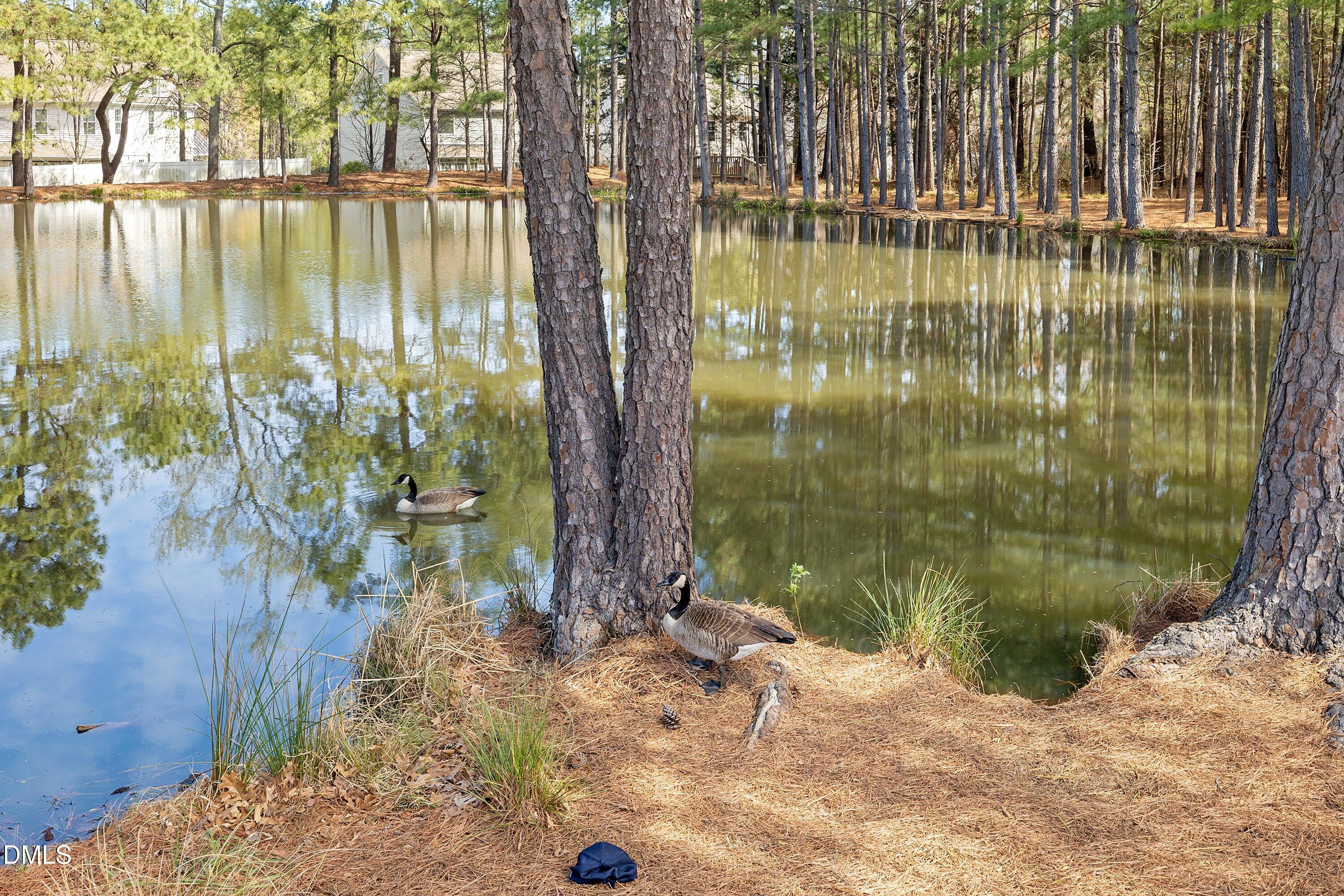 313 New Milford Road Cary, NC 27519 - Photo 46 of 54 50-313 New Milford_5591