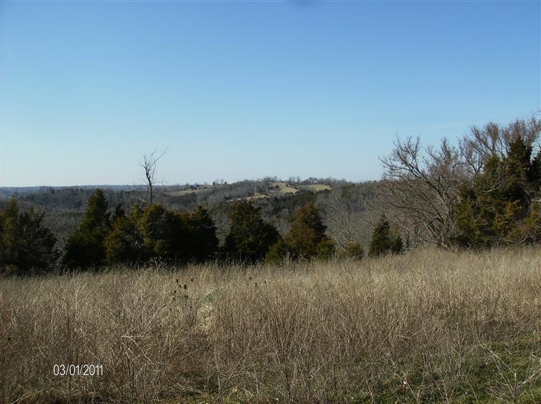 750 Maple Grove Road Richmond, KY 40475 - Photo 10 of 11 Photo 10