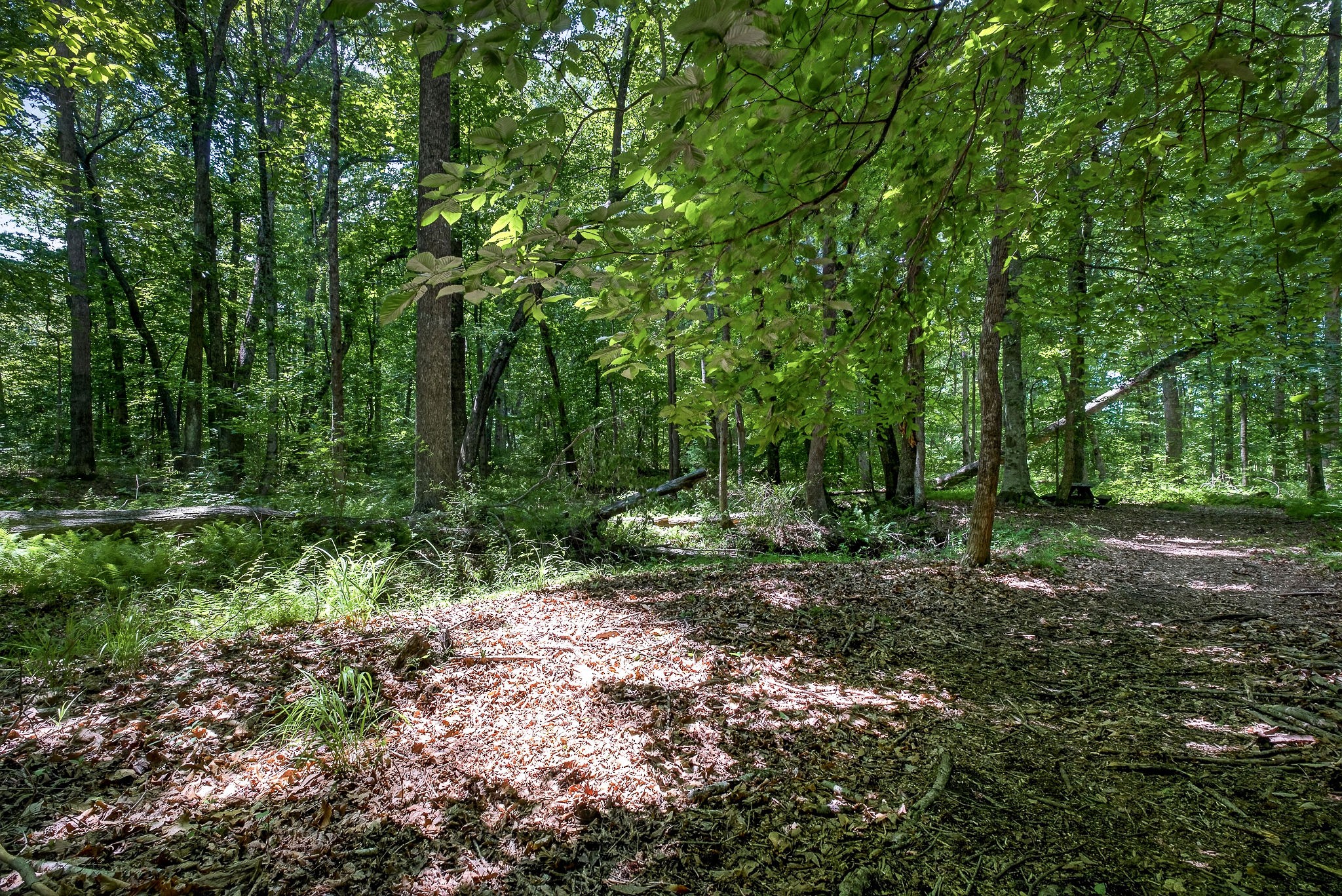 2025 Old Bonair Road Sparta, TN 38583 - Photo 52 of 72