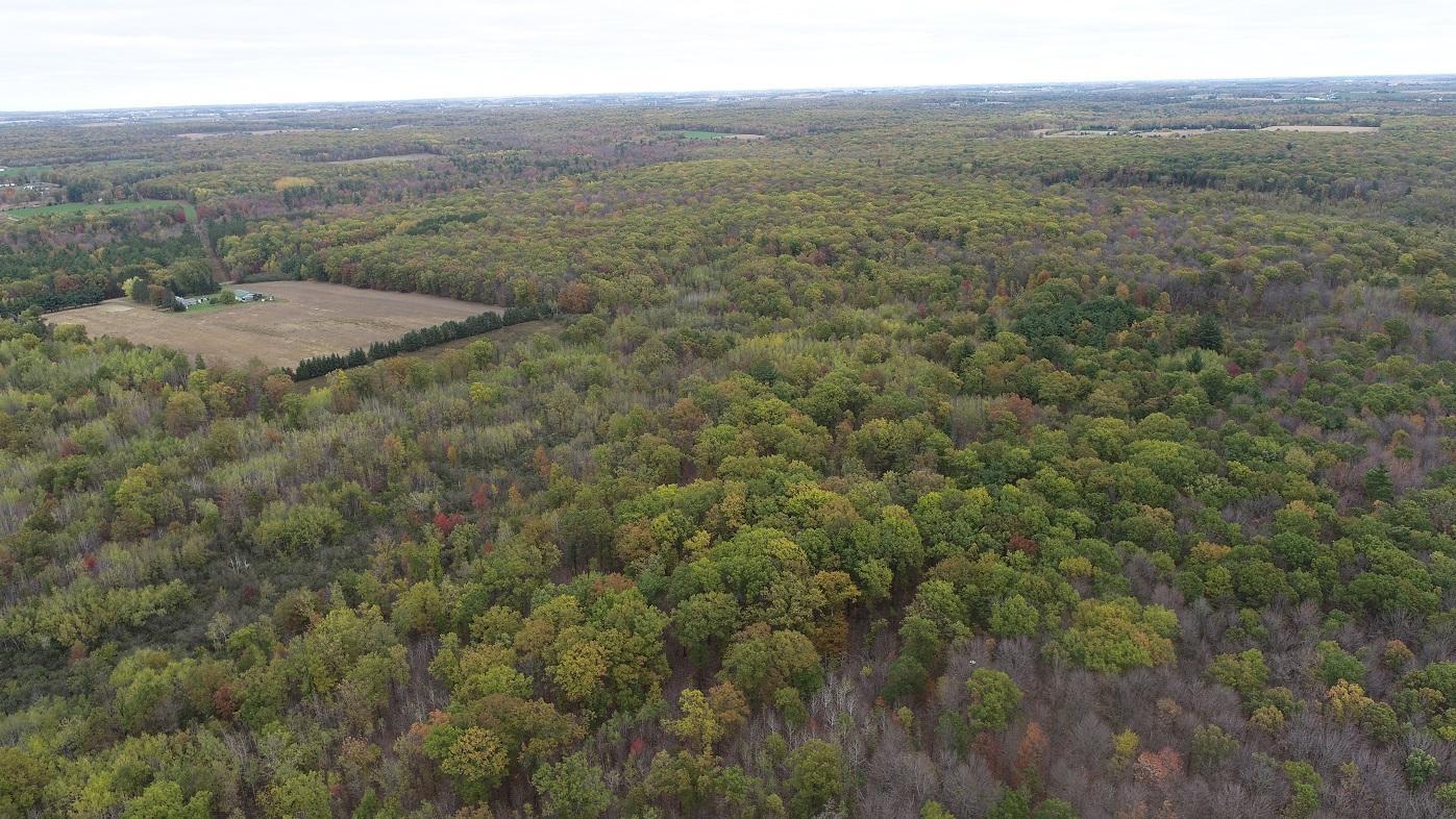 0 20th Avenue Cadott, WI 54727 - Photo 16 of 18