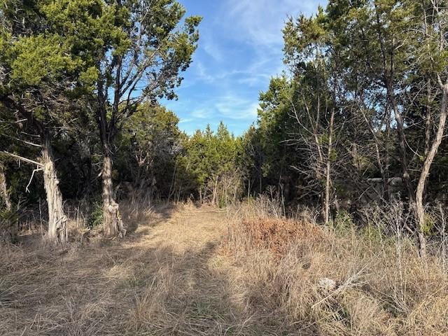 Tbd Sunset Strip Whitney, TX 76692 - Photo 1 of 5 a view of a forest with trees in the background