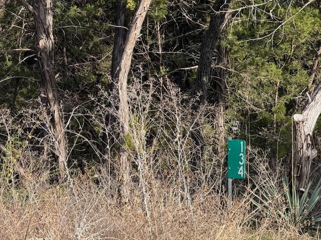 Tbd Sunset Strip Whitney, TX 76692 - Photo 4 of 5 a close up of a plant