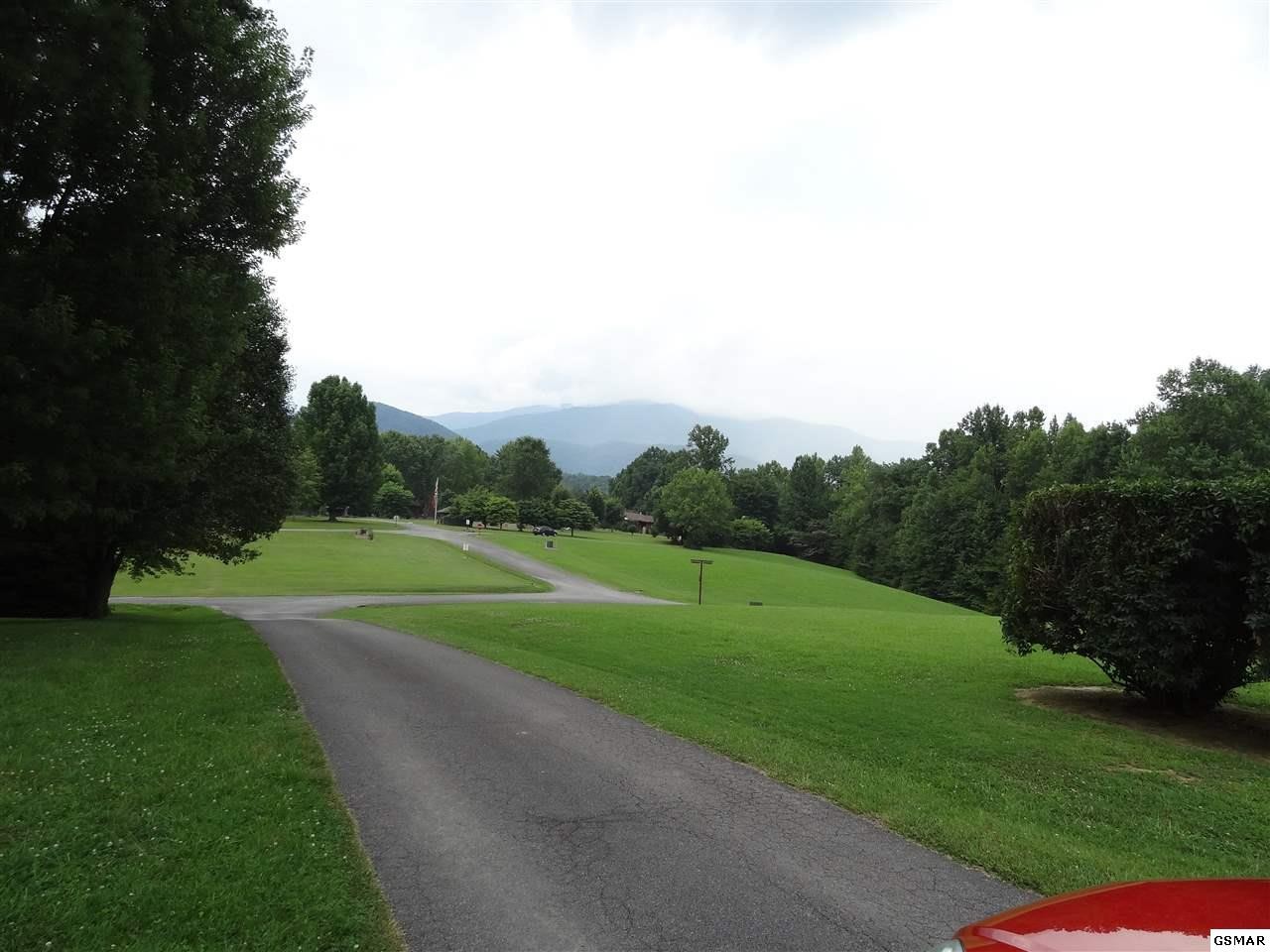 41 Ridgewood Way Cosby, TN 37722 - Photo 4 of 4