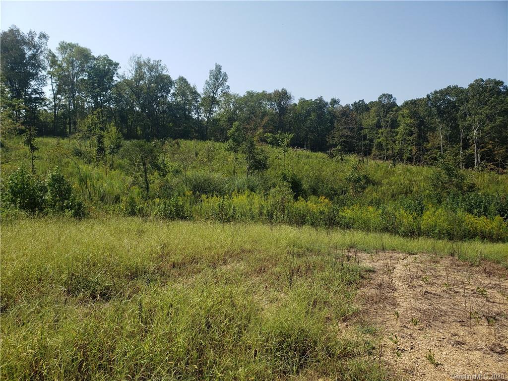 0 Midway Road Polkton, NC 28135 - Photo 2 of 10 a view of a lush green forest with a lake