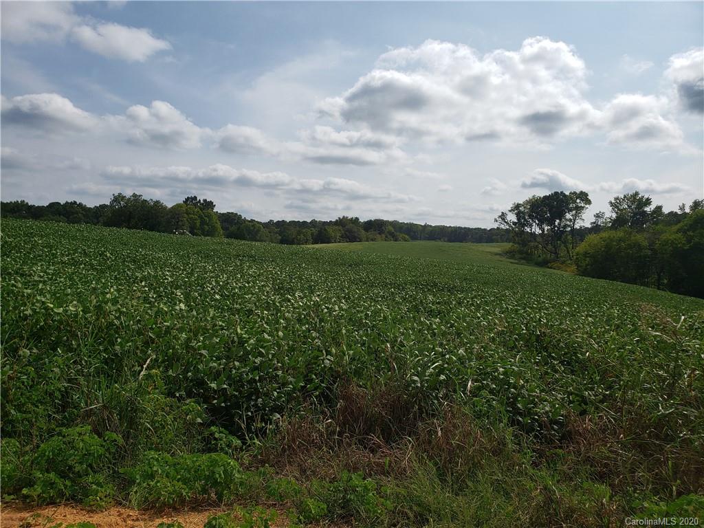 0 Midway Road Polkton, NC 28135 - Photo 5 of 10 a view of a big yard with plants and a large tree
