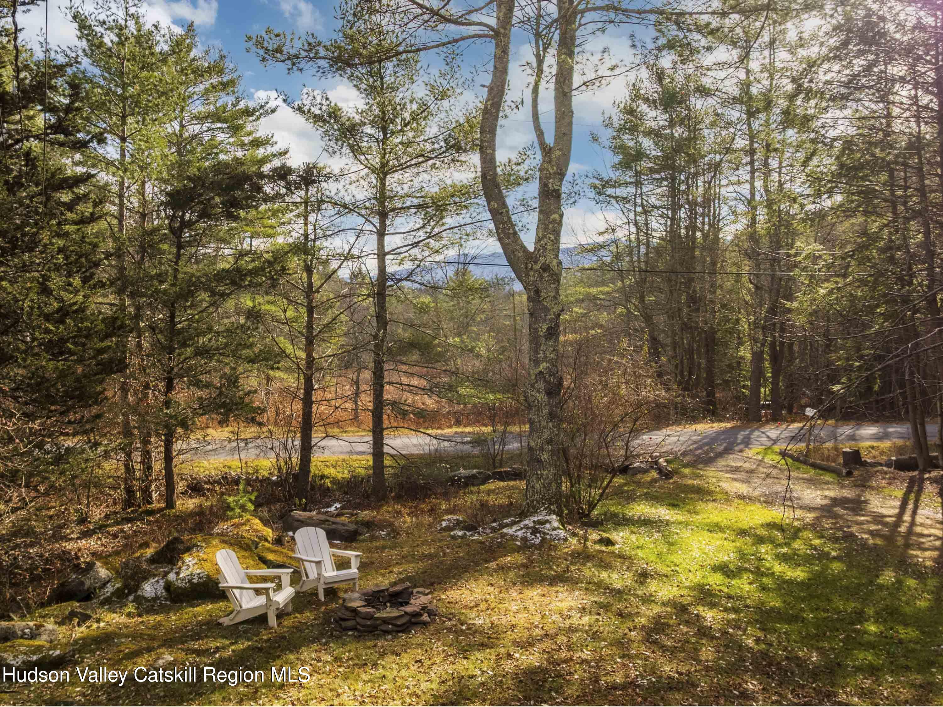 61 Hemlock Road Jewett, NY 12444 - Photo 3 of 45 a view of a yard with trees