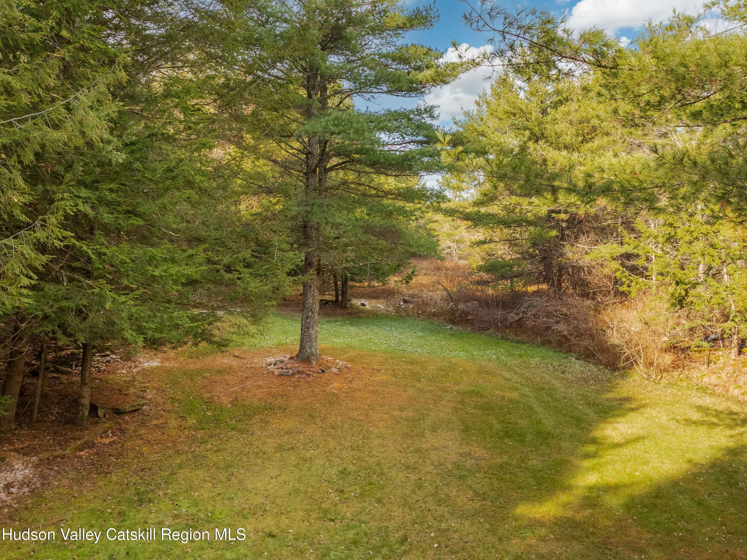 61 Hemlock Road Jewett, NY 12444 - Photo 40 of 45 a view of a yard with a house