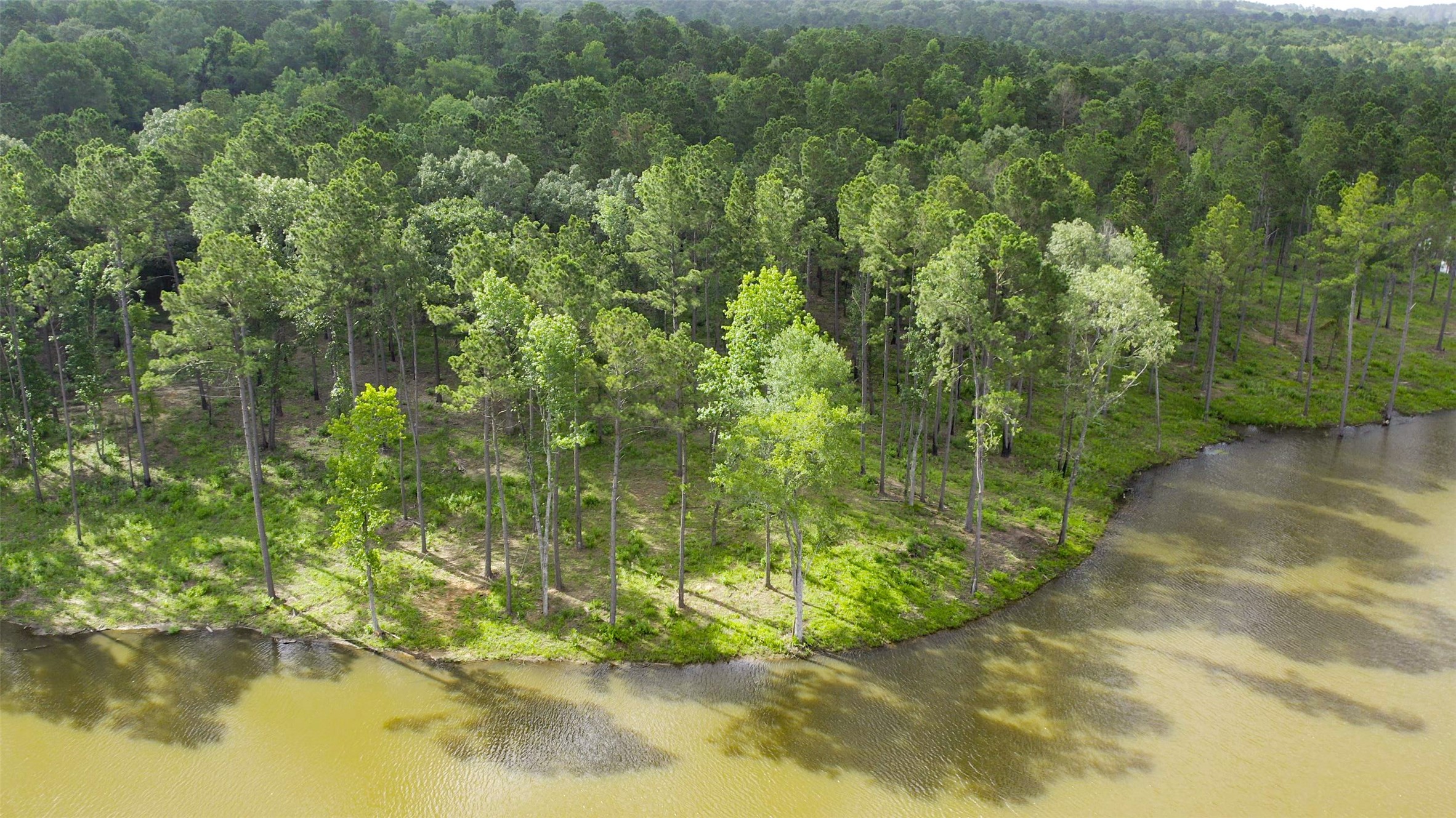 1320 County Road 2112 Rusk, TX 75785 - Photo 30 of 50 a view of a lake view with houses