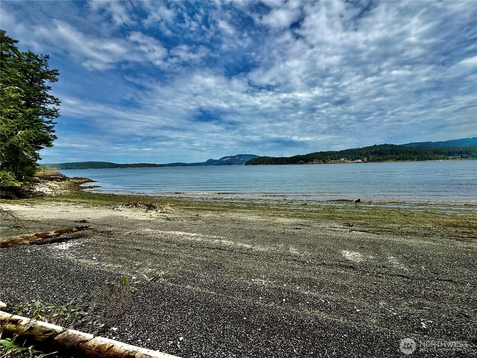 0 Lots 7-8 Newton Beach Road Shaw Island, WA 98286 - Photo 4 of 33