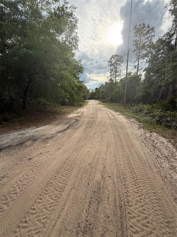 18710 Southeast 61st Street Road Ocklawaha, FL 32179 - Photo 25 of 25