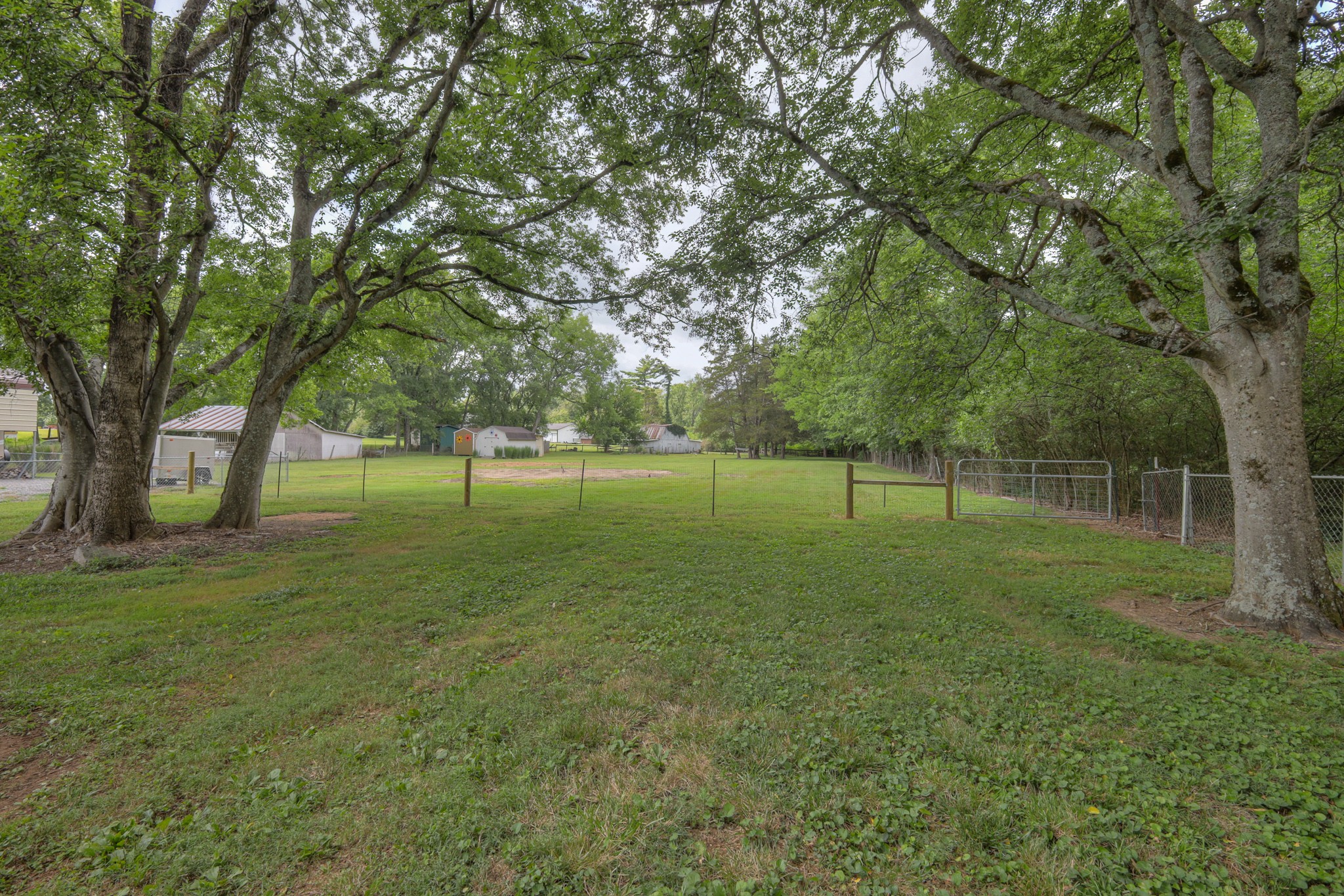515 Lillard Road Murfreesboro, TN 37130 - Photo 51 of 66
