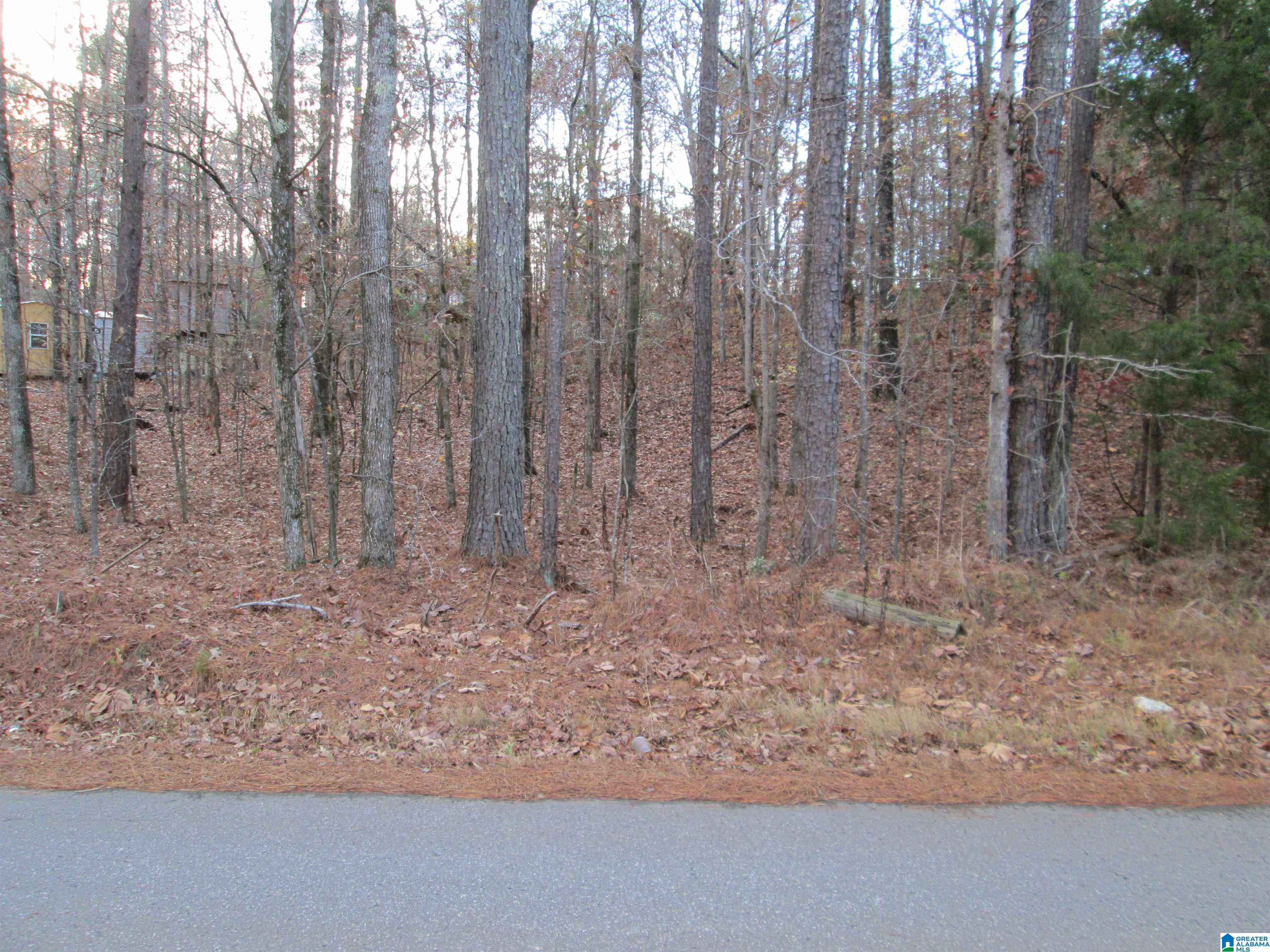 Parsons Drive, Unit 3 Vance, AL 35490 - Photo 1 of 6