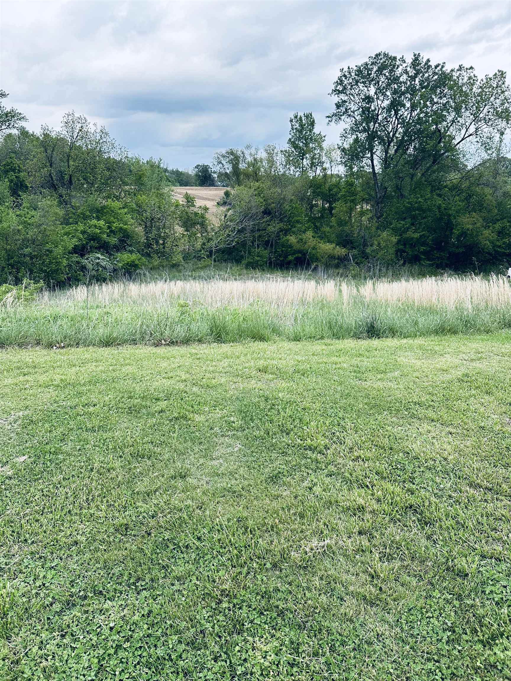 Lot 5 Adkins Road Burlison, TN 38015 - Photo 5 of 8 Gallery Image 5