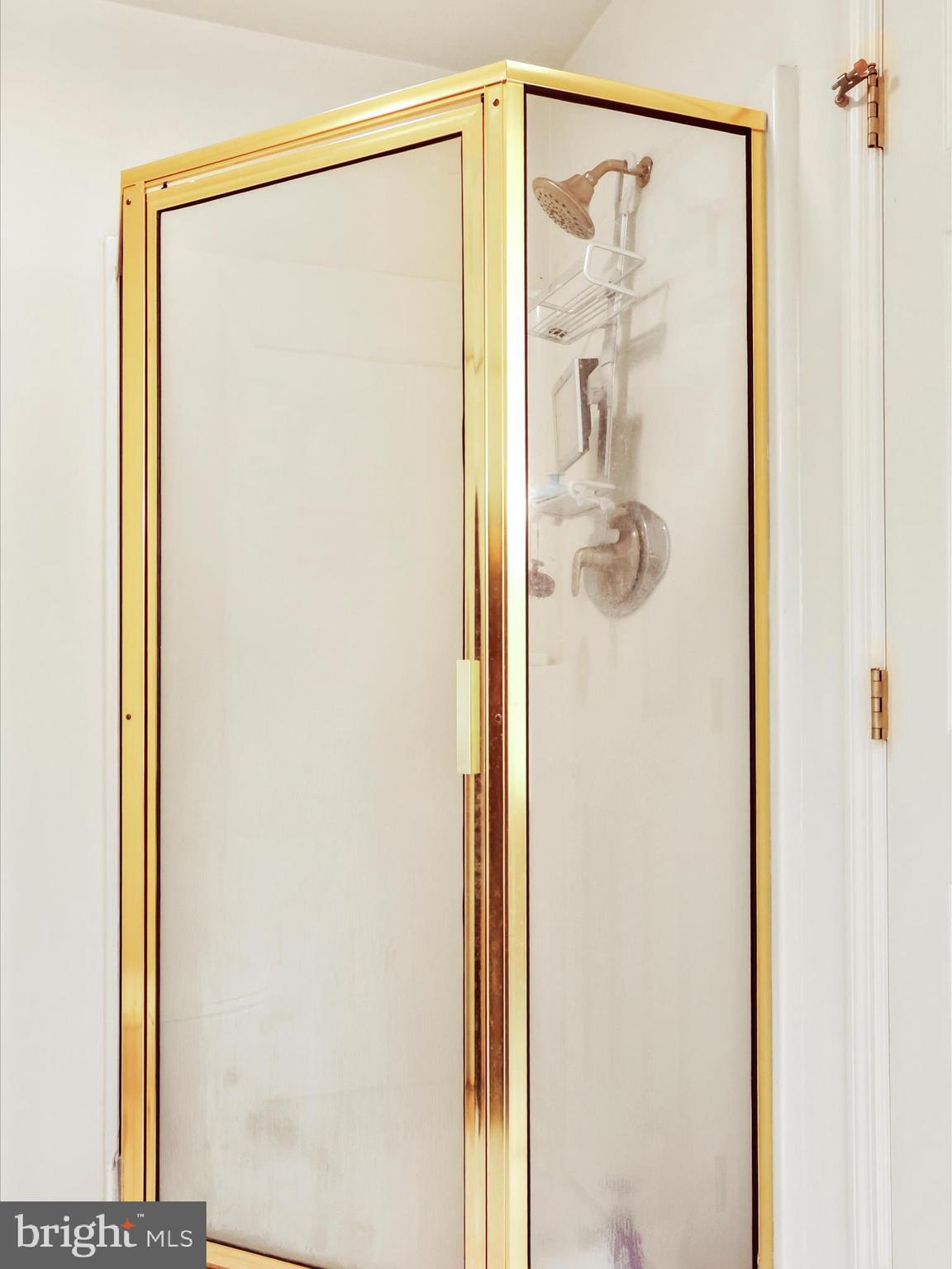 19738 Longmeadow Road Hagerstown, MD 21742 - Photo 47 of 82 Walk in shower