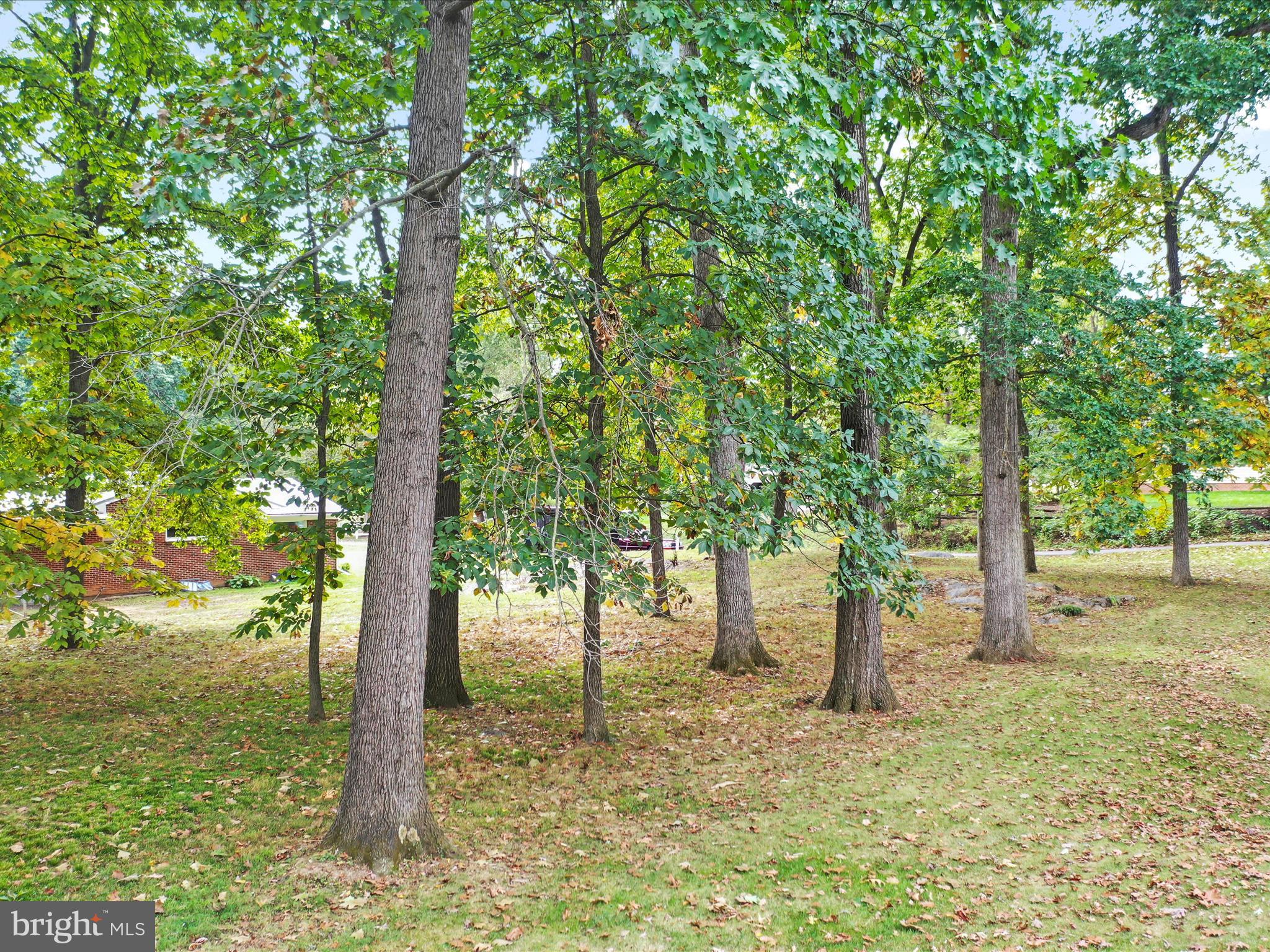 19738 Longmeadow Road Hagerstown, MD 21742 - Photo 67 of 82 Gallery Image 67