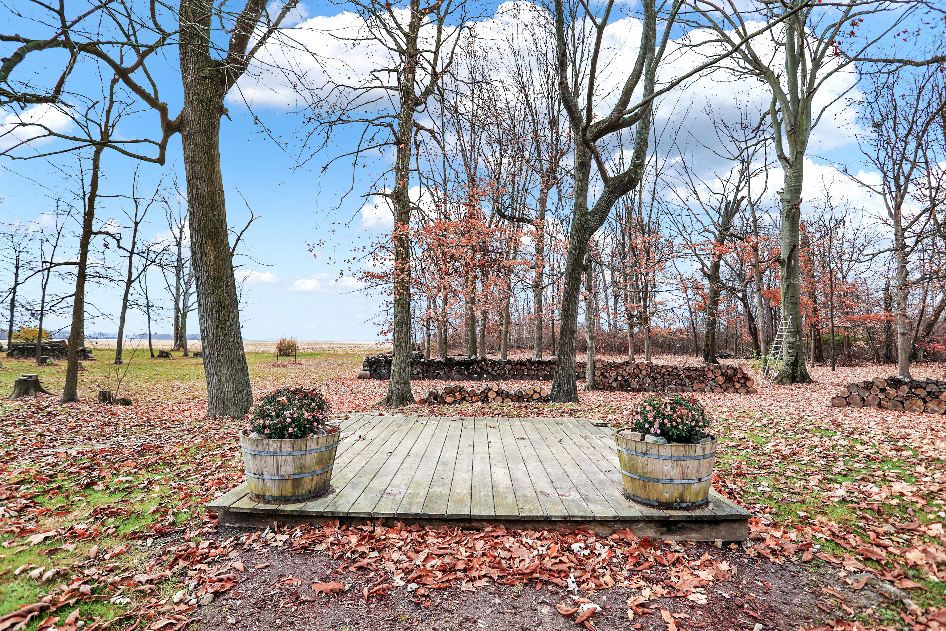 3541 East 650 North Windfall, IN 46076 - Photo 53 of 74