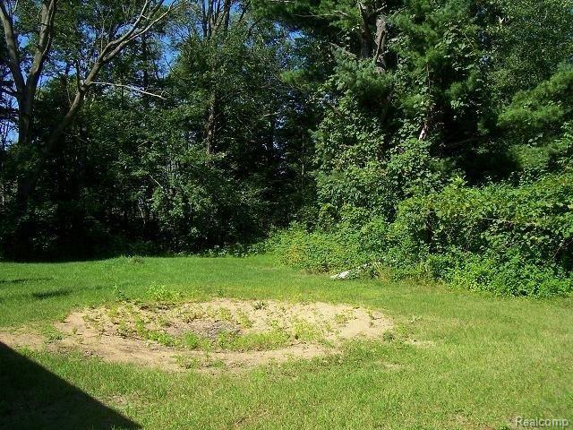 2318 Castor Road Goodells, MI 48027 - Photo 13 of 17 Rear yard