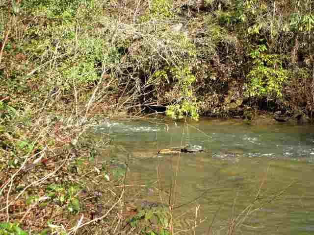 1.45-ac Chauga River Road, Unit CHEROKEE DRIVE Mountain Rest, SC 29664 - Photo 1 of 18 Gallery Image 1