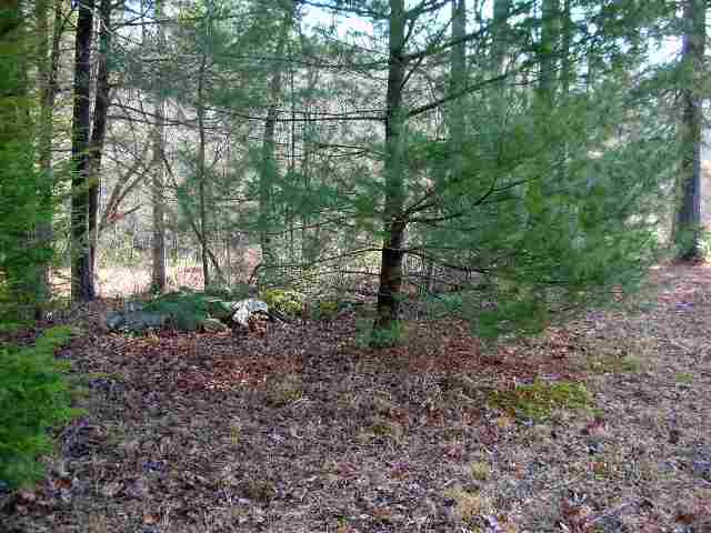 1.45-ac Chauga River Road, Unit CHEROKEE DRIVE Mountain Rest, SC 29664 - Photo 12 of 18 Gallery Image 12