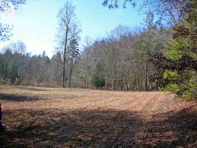 1.45-ac Chauga River Road, Unit CHEROKEE DRIVE Mountain Rest, SC 29664 - Photo 15 of 18 Gallery Image 15