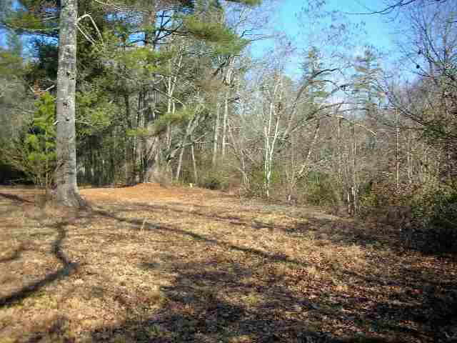 1.45-ac Chauga River Road, Unit CHEROKEE DRIVE Mountain Rest, SC 29664 - Photo 16 of 18 Gallery Image 16