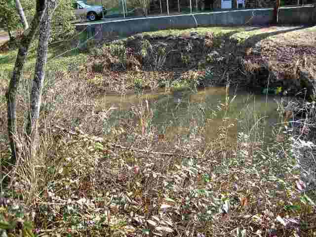 1.45-ac Chauga River Road, Unit CHEROKEE DRIVE Mountain Rest, SC 29664 - Photo 5 of 18 Gallery Image 5