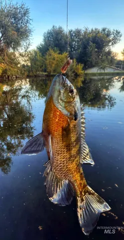 $1,100,000 | 15750 Park View Drive, Wilder, ID 83676