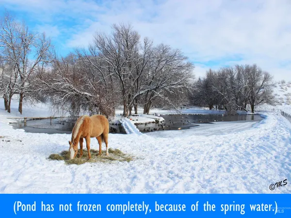 $950,000 | 15750 Park View Drive, Wilder, ID 83676