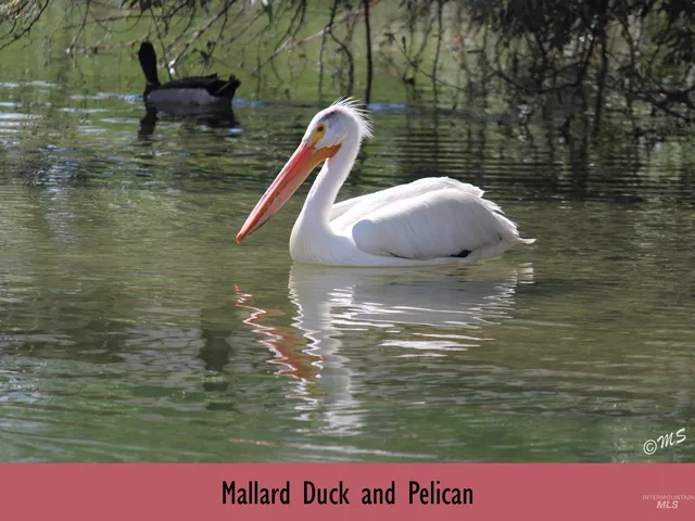 $1,100,000 | 15750 Park View Drive, Wilder, ID 83676