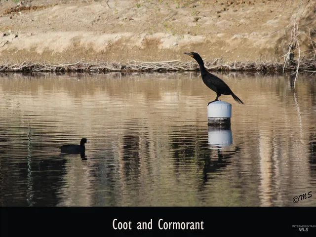 $1,100,000 | 15750 Park View Drive, Wilder, ID 83676