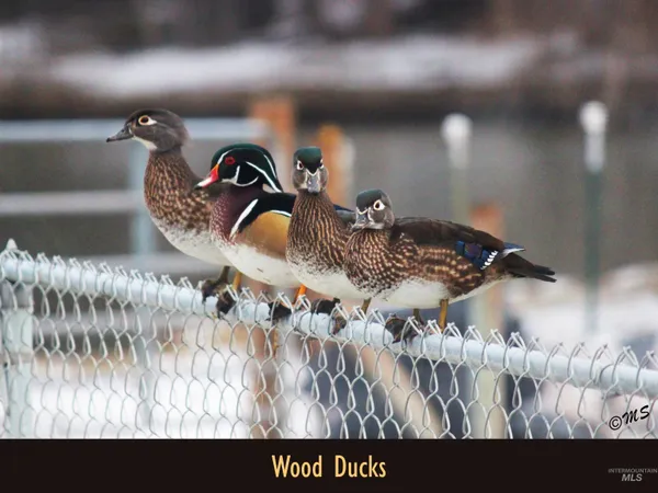 $950,000 | 15750 Park View Drive, Wilder, ID 83676