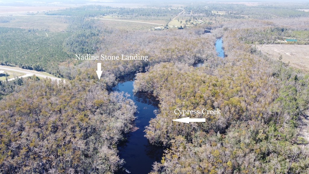 Lot 20 Southeast Cypress Point Road Wewahitchka, FL 32449 - Photo 11 of 11