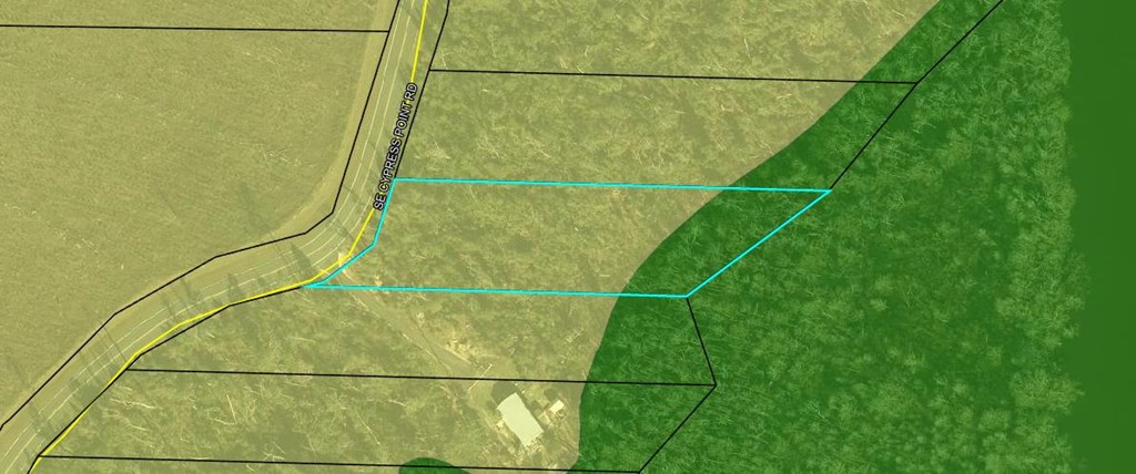 Lot 20 Southeast Cypress Point Road Wewahitchka, FL 32449 - Photo 4 of 11