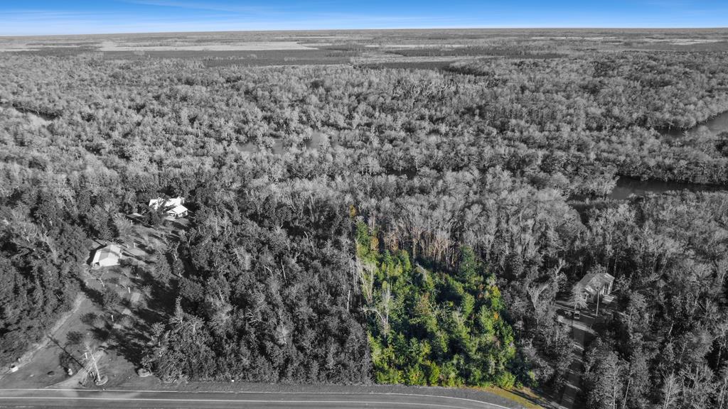 Lot 20 Southeast Cypress Point Road Wewahitchka, FL 32449 - Photo 6 of 11