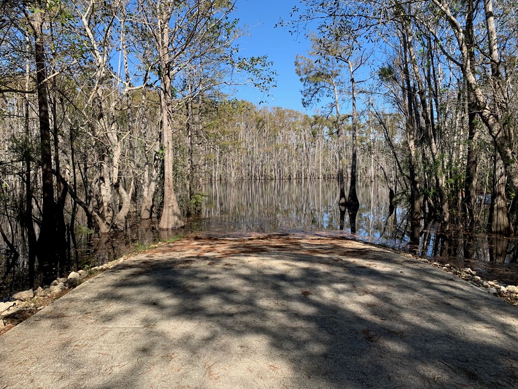 Lot 20 Southeast Cypress Point Road Wewahitchka, FL 32449 - Photo 10 of 11