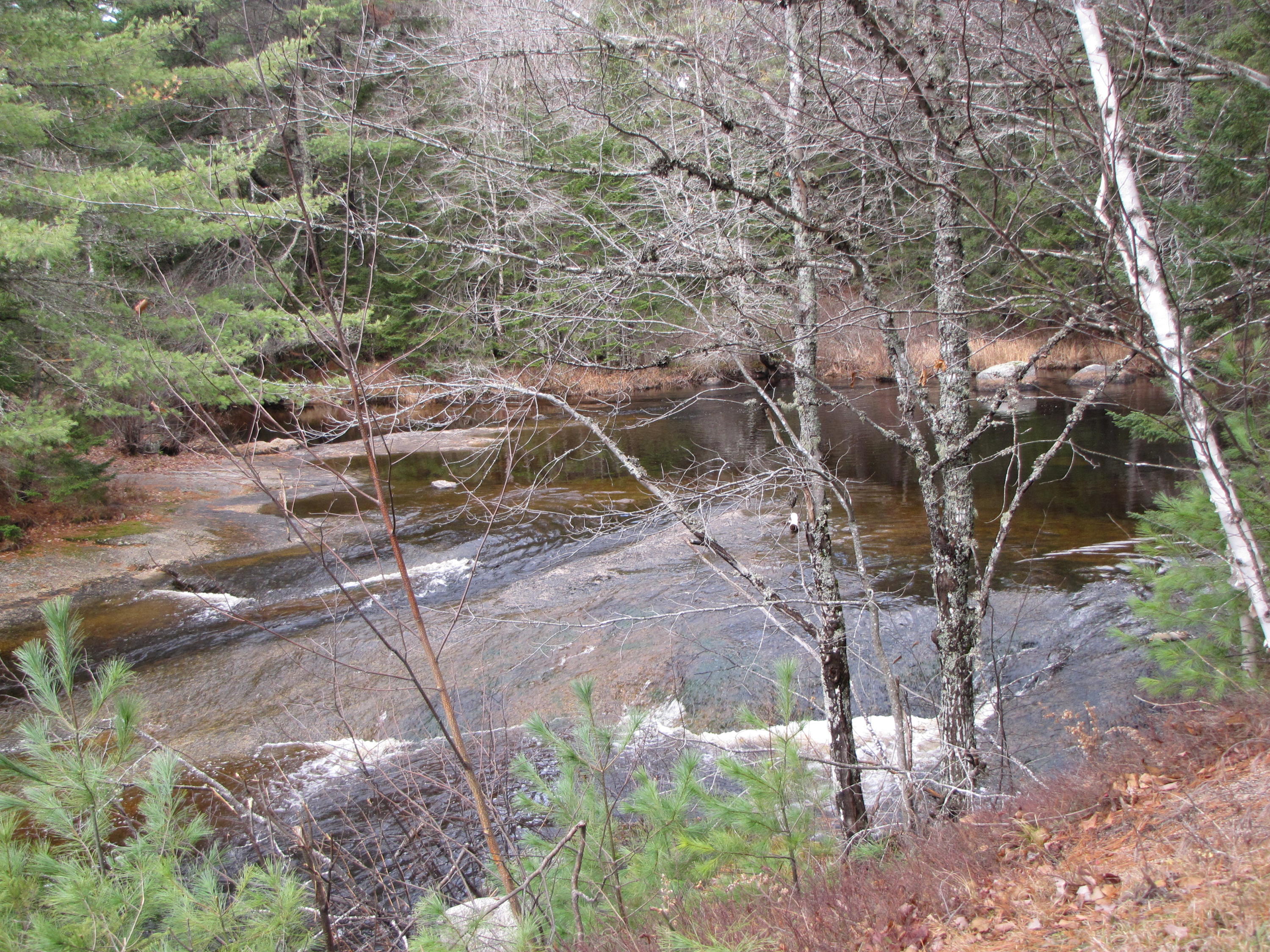 X X Off Ccc Road Machias, ME 04654 - Photo 24 of 57 IMG_1624