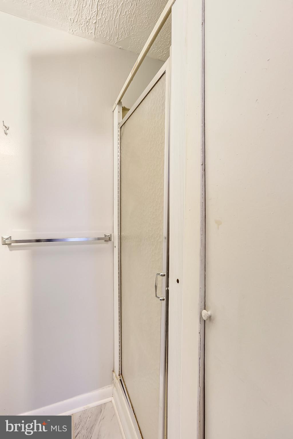 317 Highview Avenue Silver Spring, MD 20901 - Photo 27 of 30 Basement Shower in Full Bath