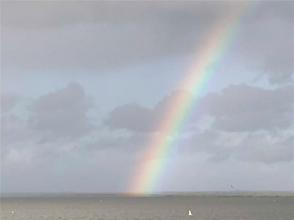 6035 Sea Ranch Drive, Unit 204 Hudson, FL 34667 - Photo 60 of 71