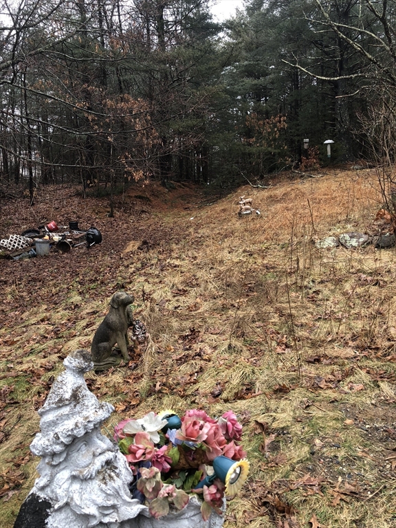 266 Pleasant Street Franklin, MA 02038 - Photo 7 of 15 a view of a yard with a tree